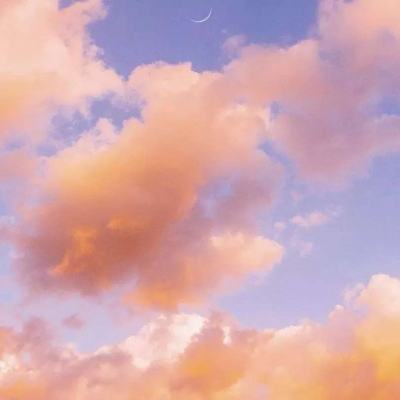 波胆app官网下载手机版