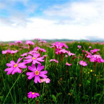 B体育·(sports)官方网站app下载